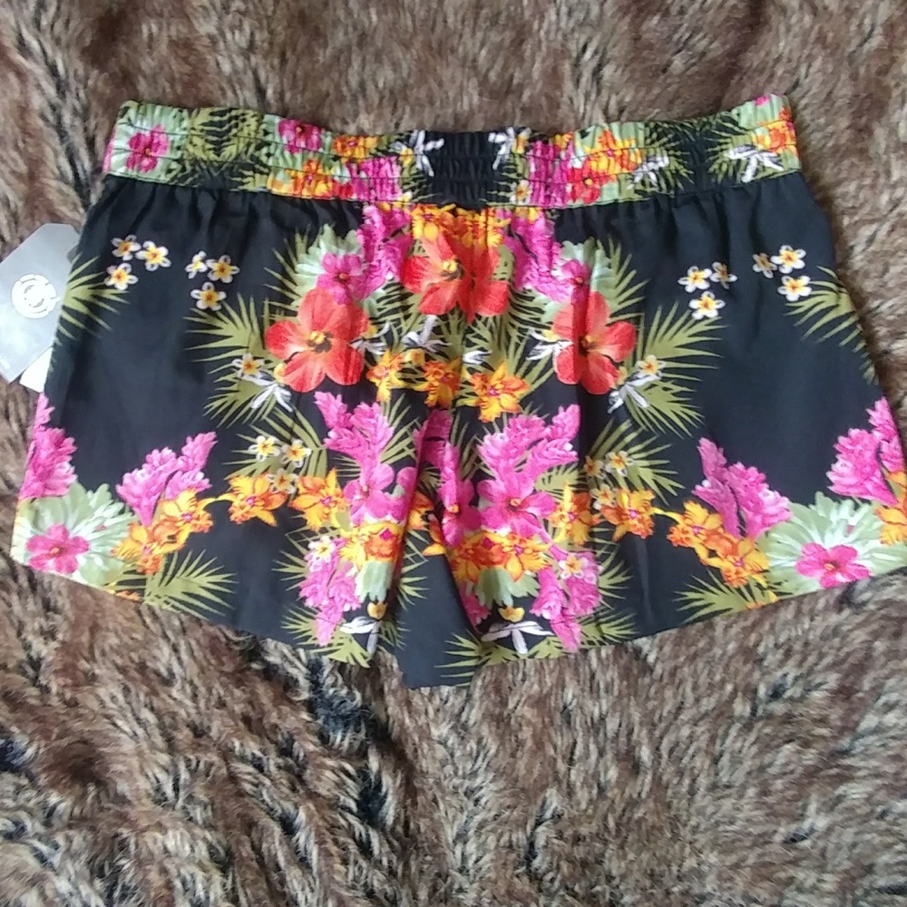 Element Shorts - Picture 2 of 4